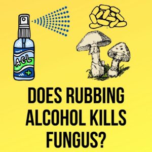 Rubbing Alcohol Kill Fungus
