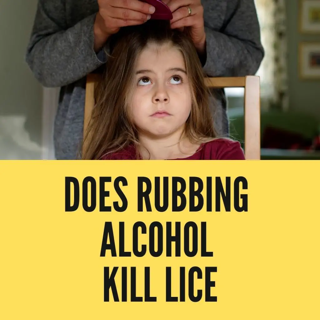 Does Rubbing Alcohol Kill Lice