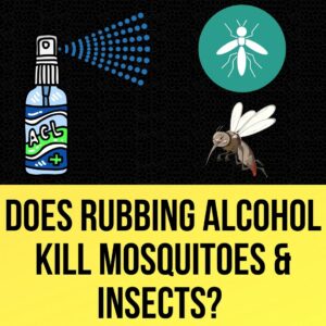 Does Rubbing Alcohol Kill Mosquitoes And Insects?