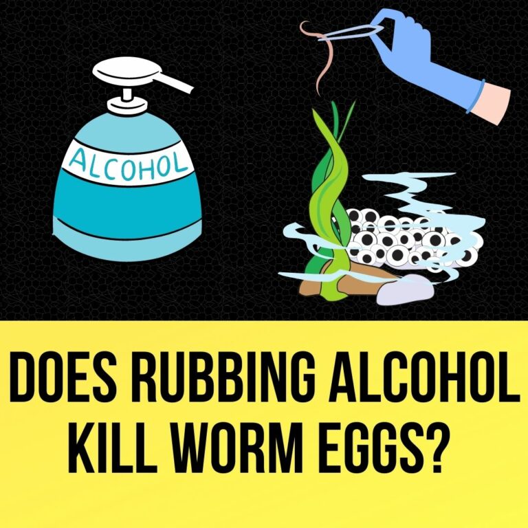Can you Mix Rubbing Alcohol and water?